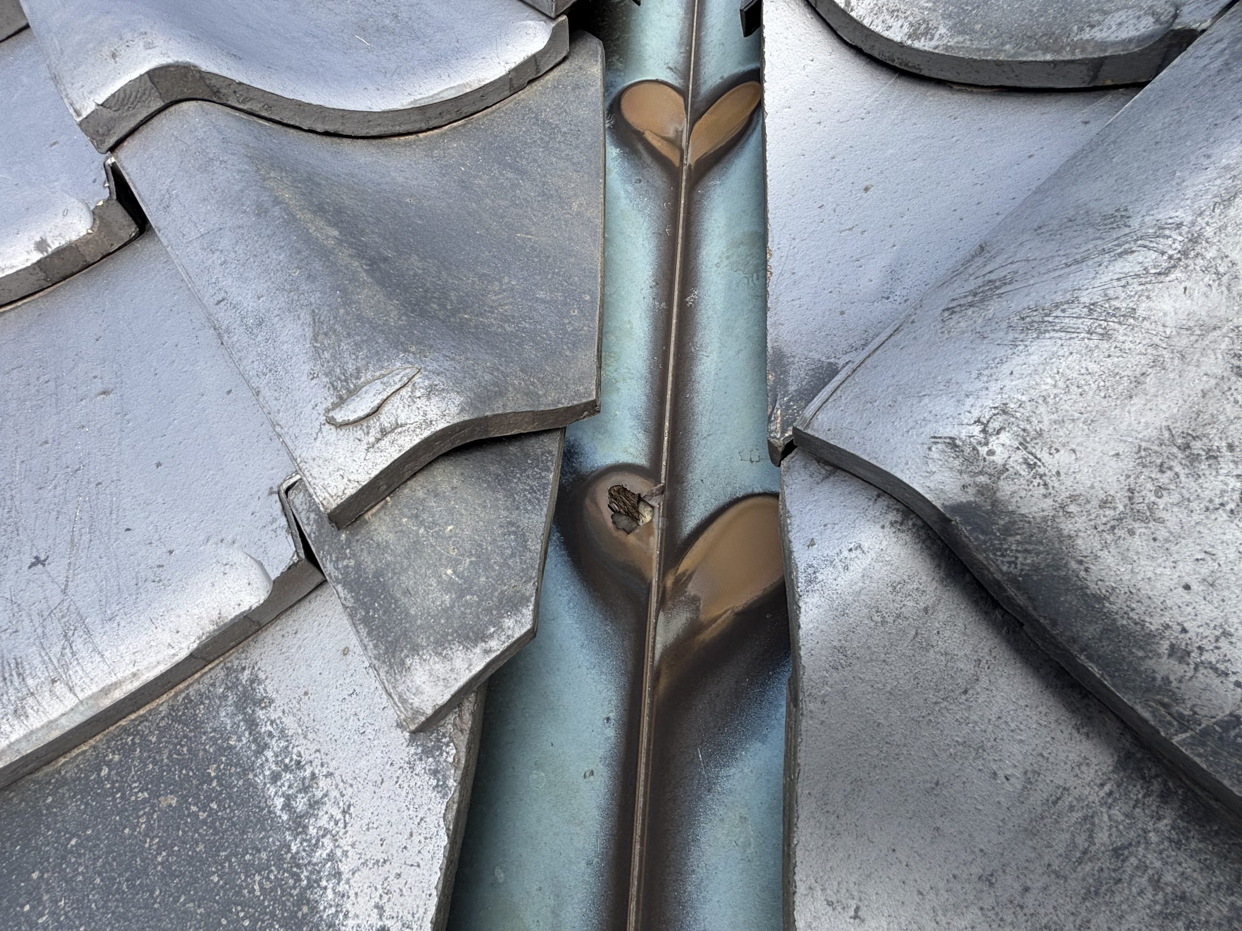 築40年経過したいぶし瓦屋根の谷樋に空いた穴の写真春日井市