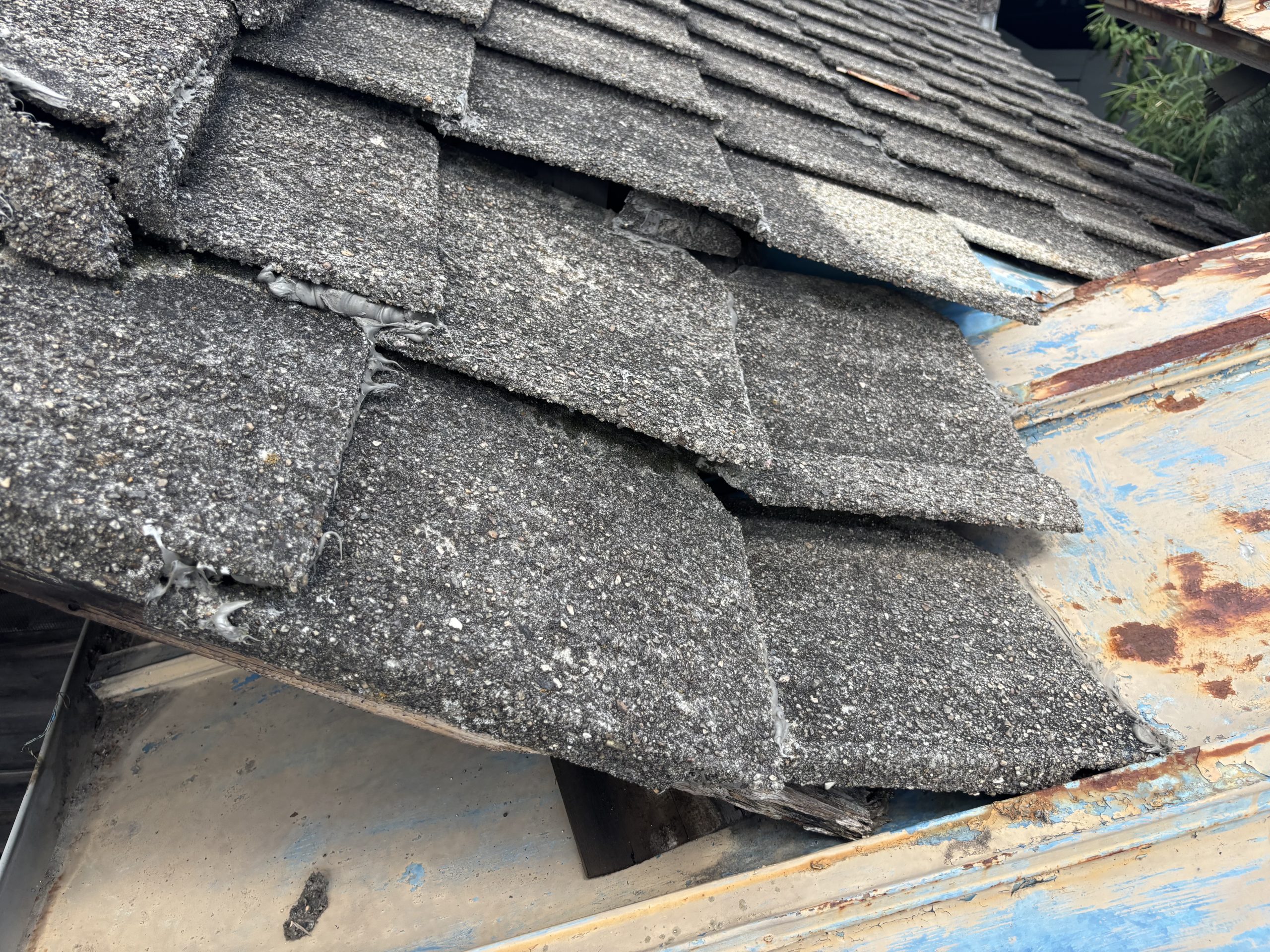 古いセメント瓦の割れや色あせを確認している様子