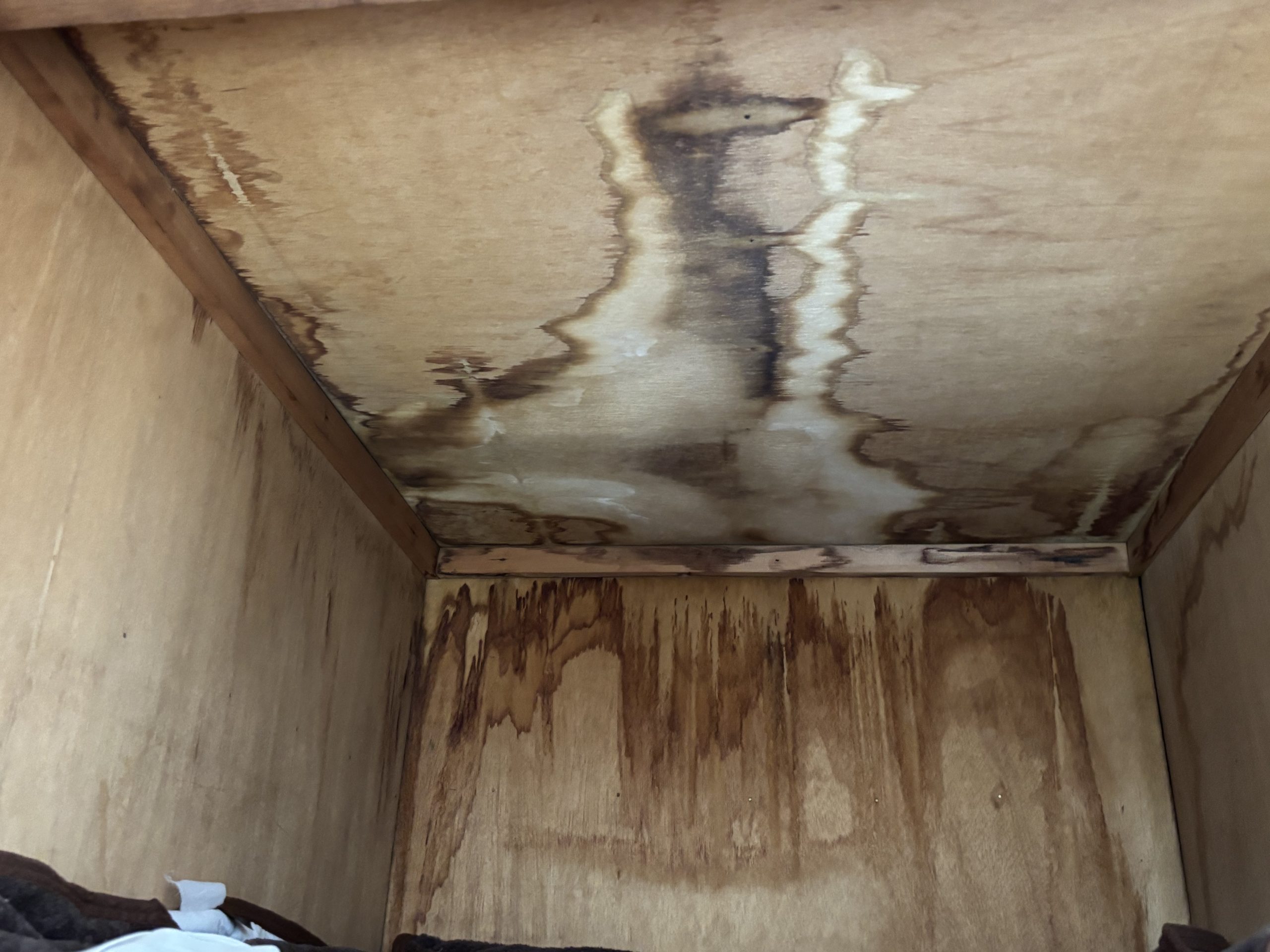 室内天井や壁の雨染みをチェックしている現場写真春日井市