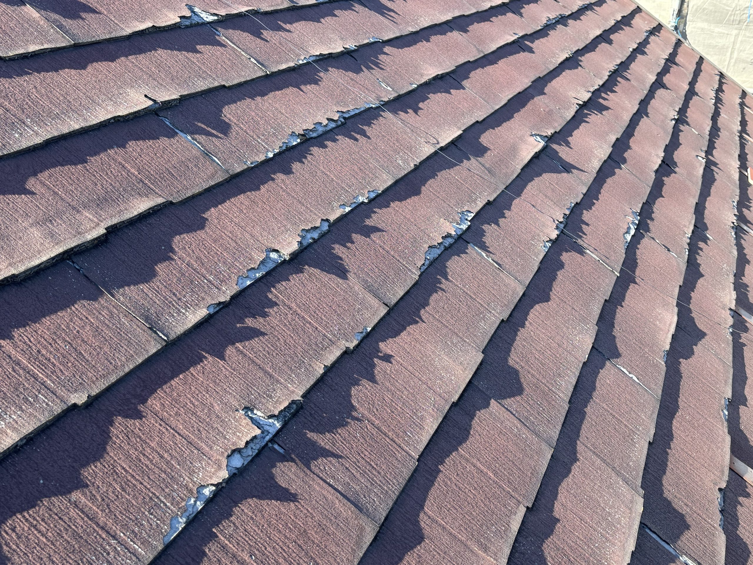 春日井市層間剝離したパミール