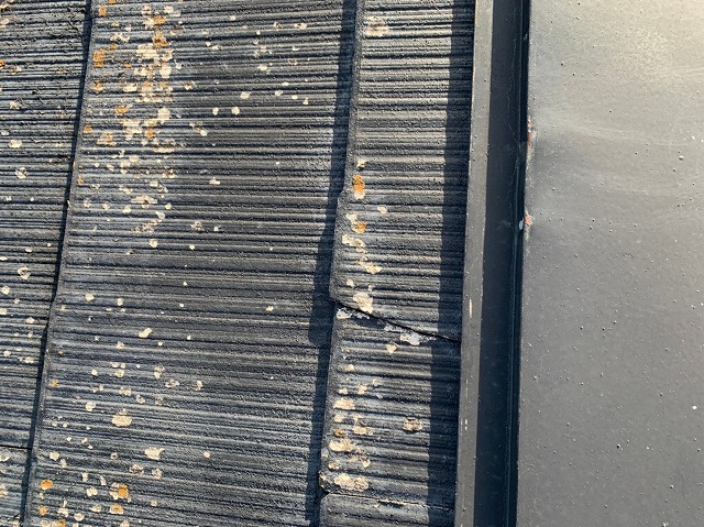 アップのひび割れ写真