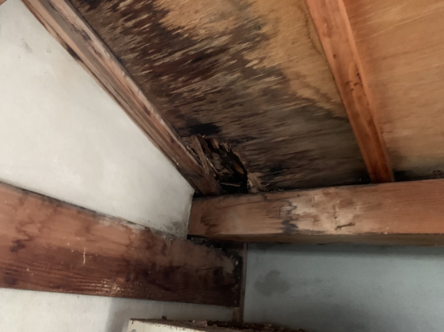 雨漏れ室内写真