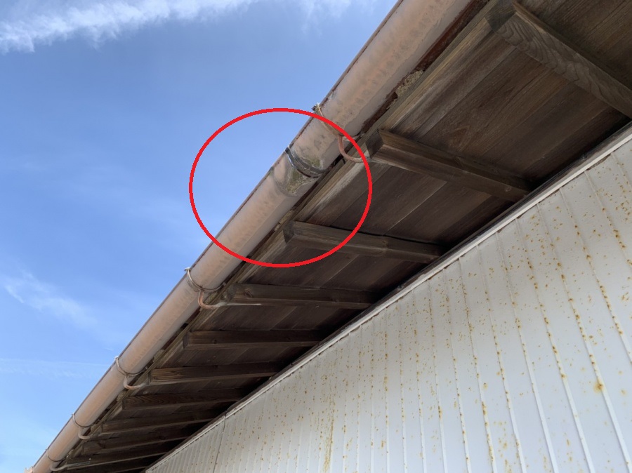 軒樋の一部欠損により雨水が垂れ落ちくる箇所