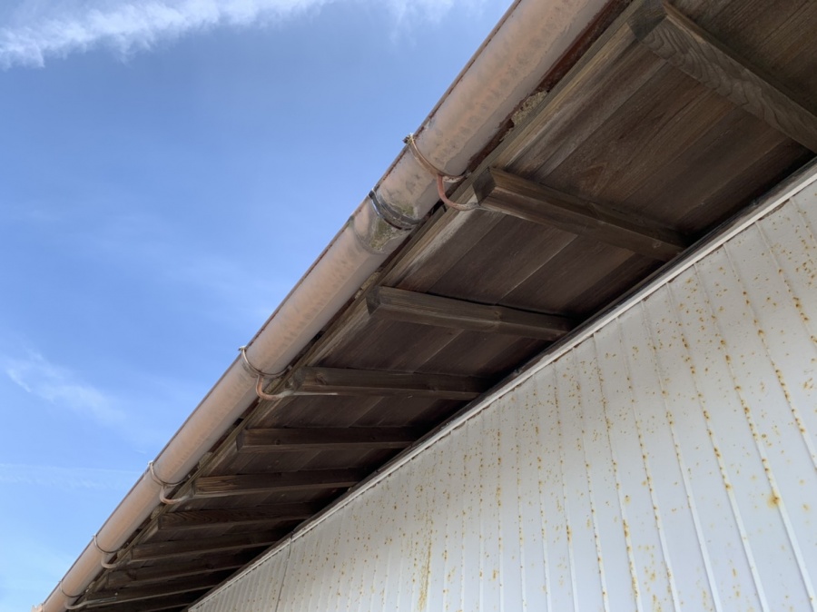 二階の南面の雨樋