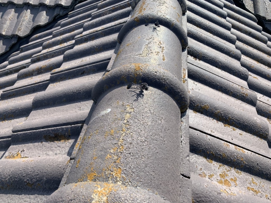 モニエル瓦の大きな屋根