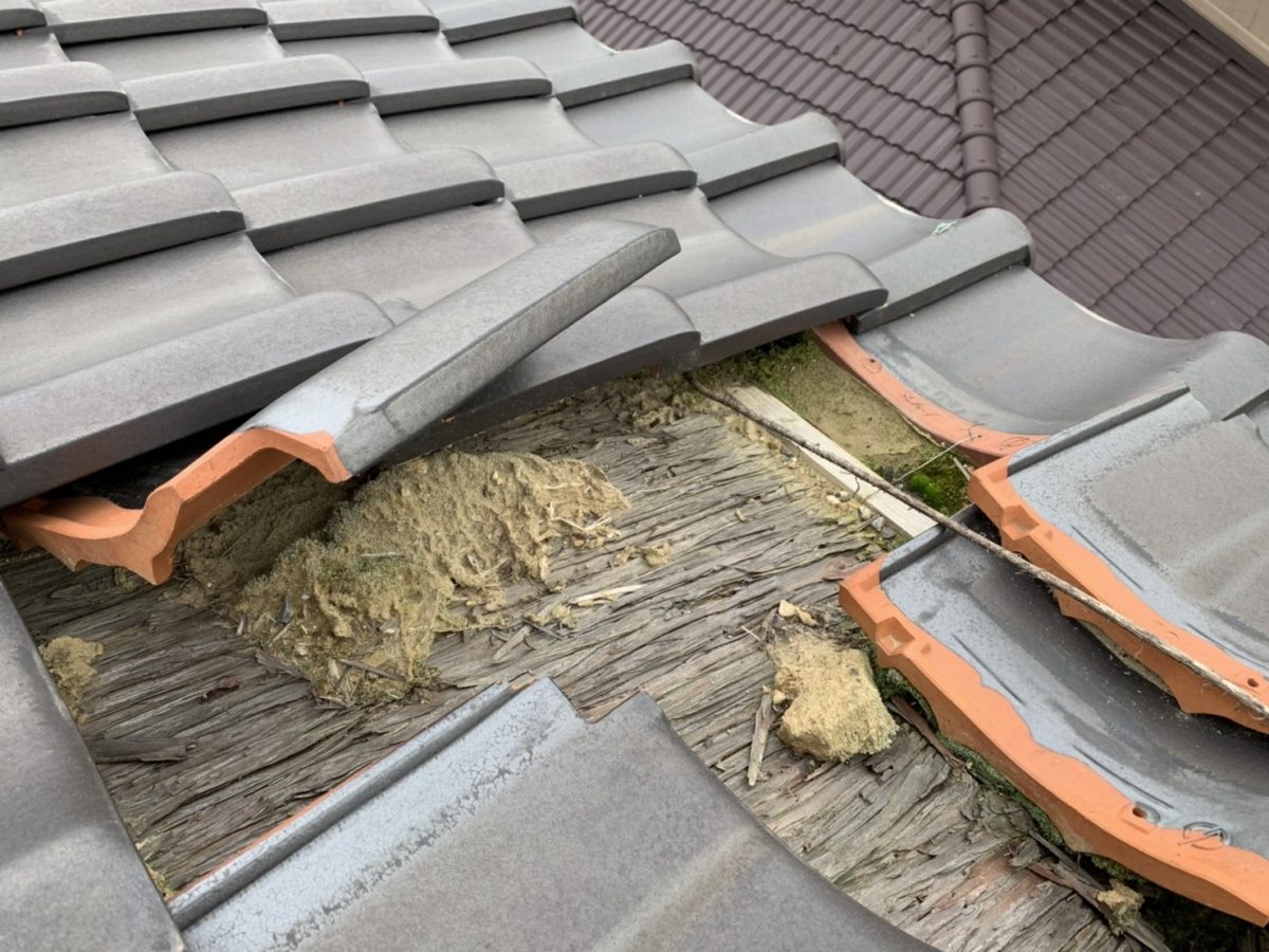 2階北側屋根状況