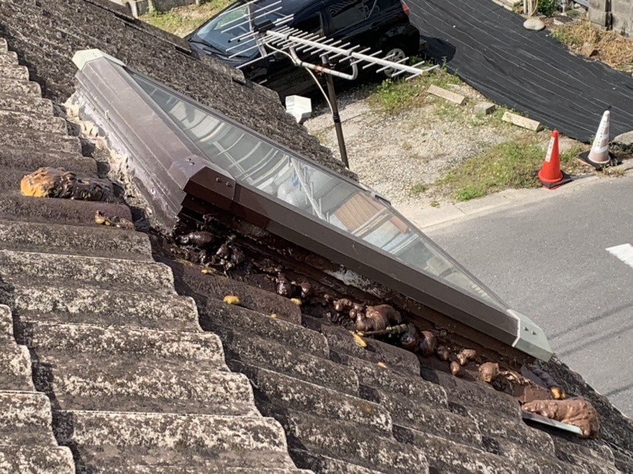 トップライト（天窓）の外からの様子