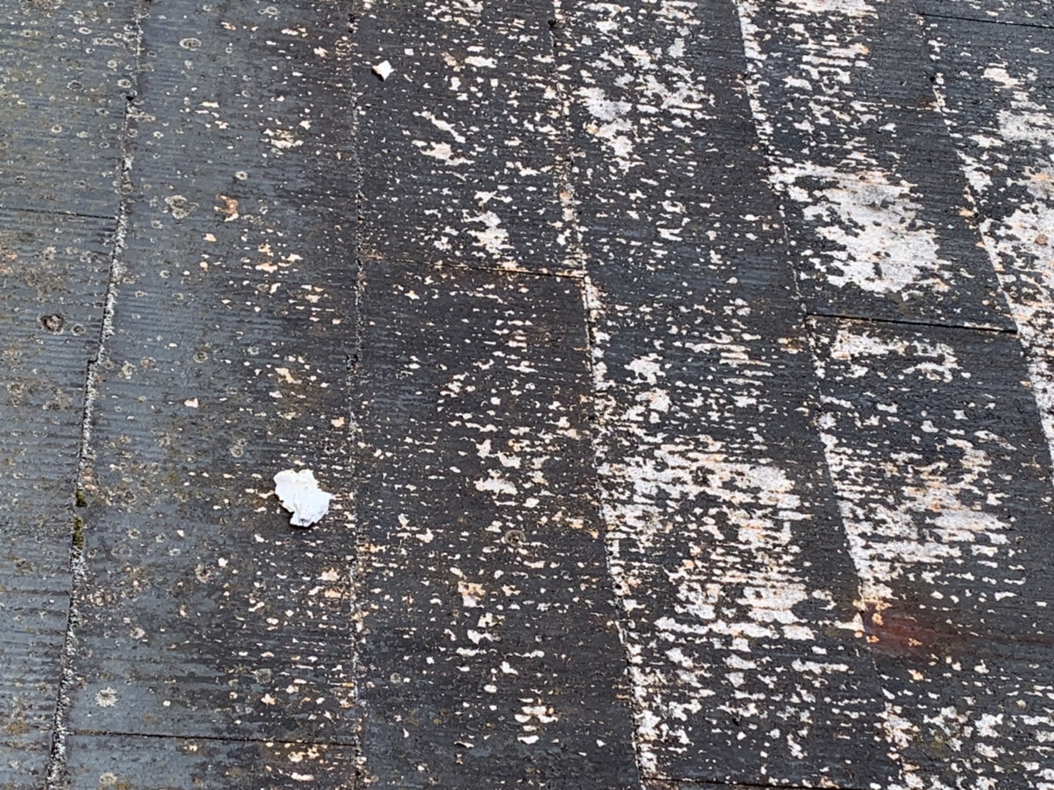 1階のカラーベスト屋根拡大