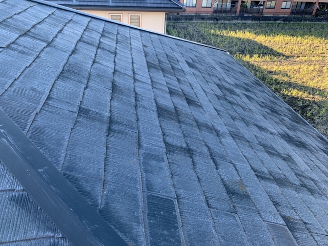 屋根全体の写真
