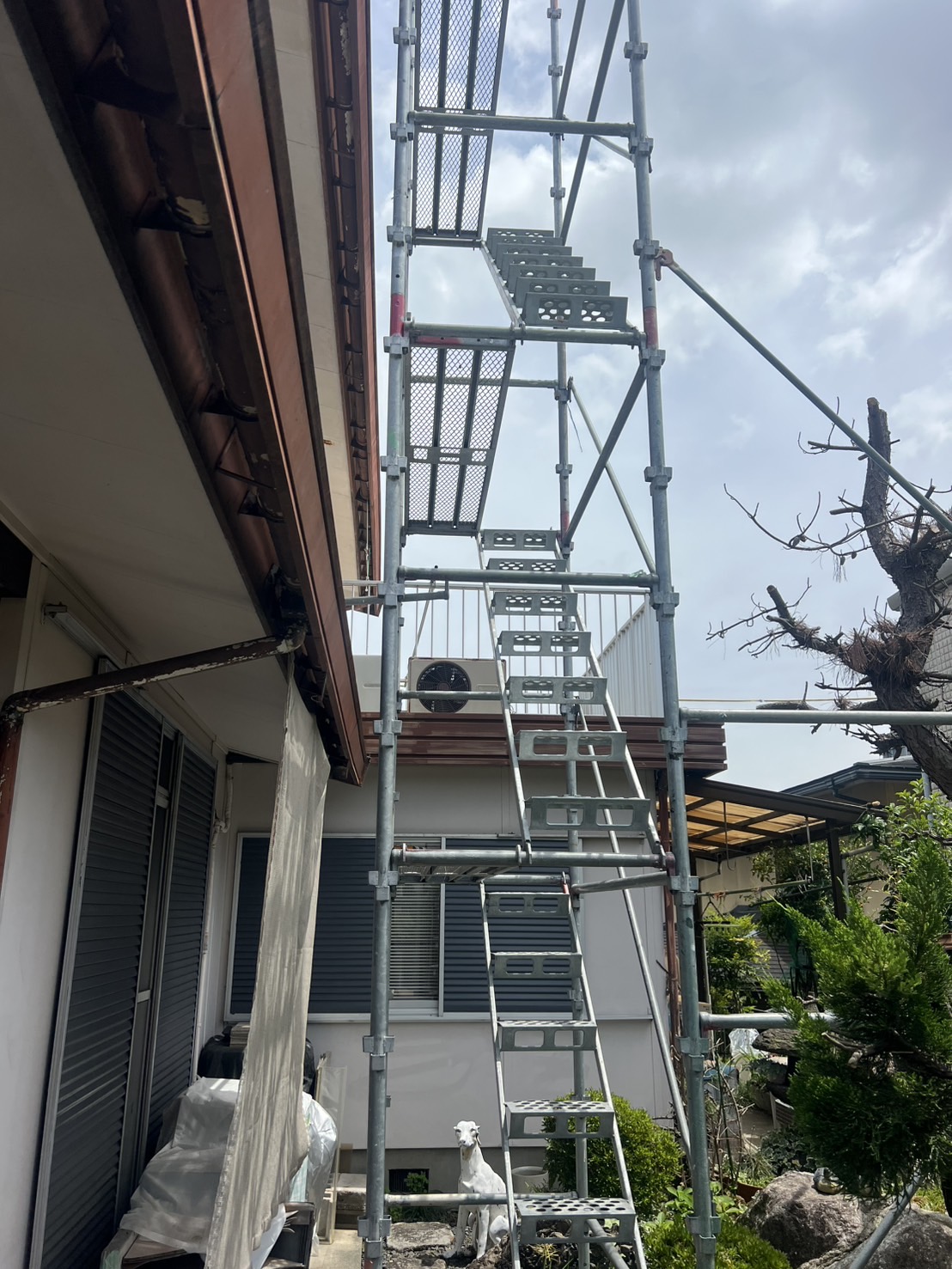 小牧市棟板金交換