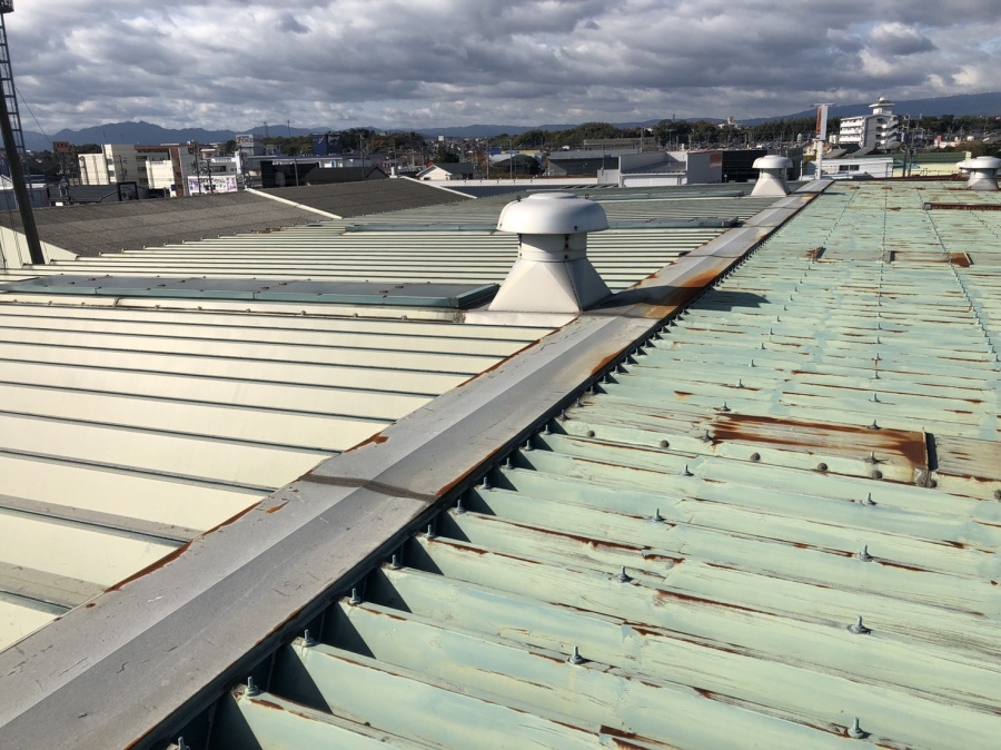 折半屋根の重ね式折半屋根とハゼ式折半屋根が使用されてい写真