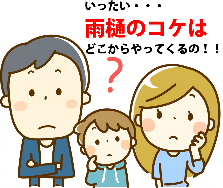 痛い雨樋の苔はどこからくるの？