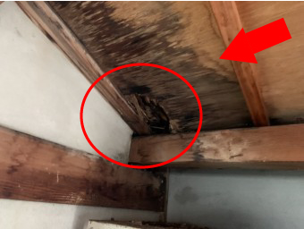 駐車場室内の雨漏り箇所