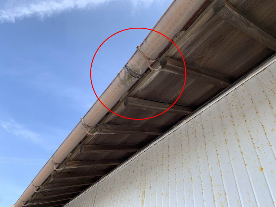 雨樋の真ん中のジョイントが外れ