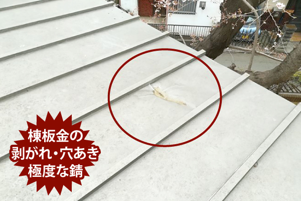 棟板金の浮き、釘(ビス)浮き