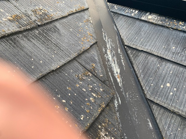 谷樋のアップ写真