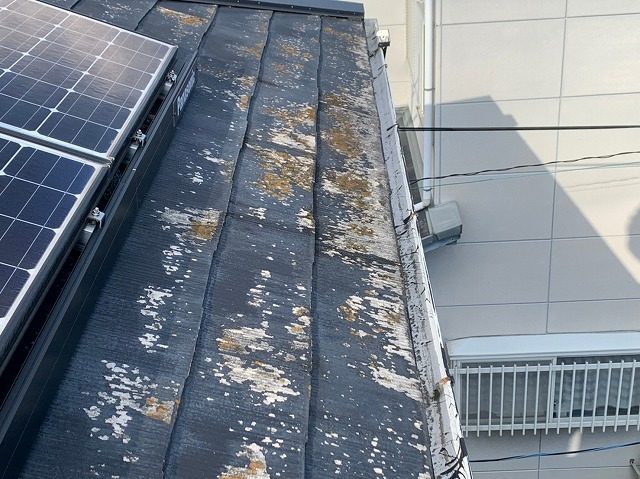 屋根の全体写真