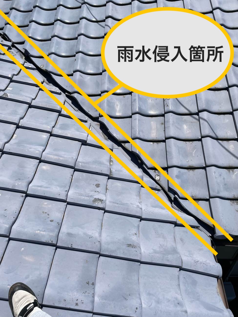 和室からの雨漏り、雨漏り工事金額、福岡