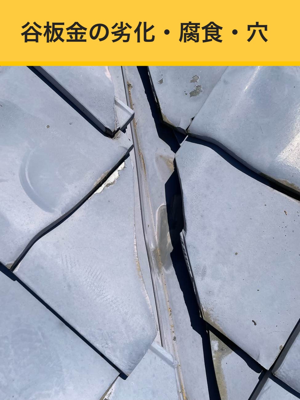 和室からの雨漏り、雨漏り工事金額、福岡