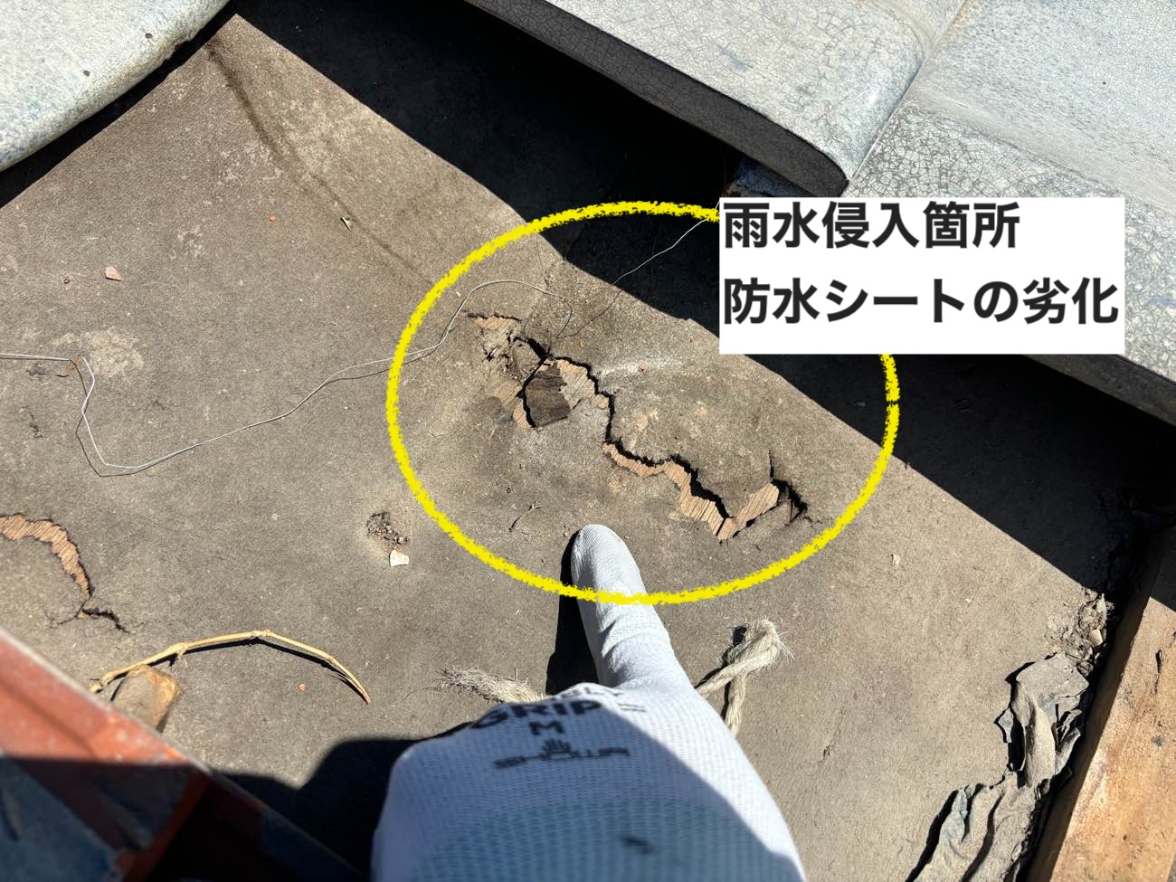 太宰府市物件、防水シートの劣化