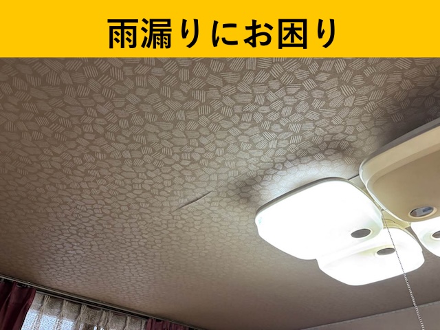 天井の雨じみ調査