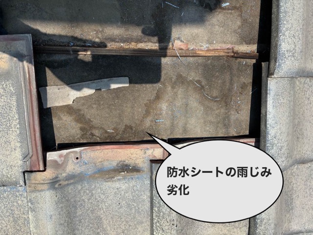 防水シートにできた雨じみ