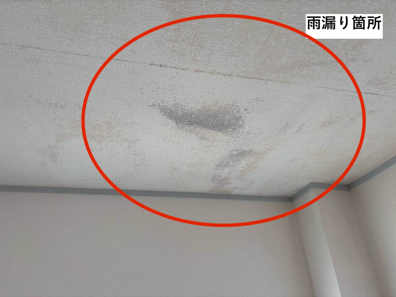 天井雨漏り