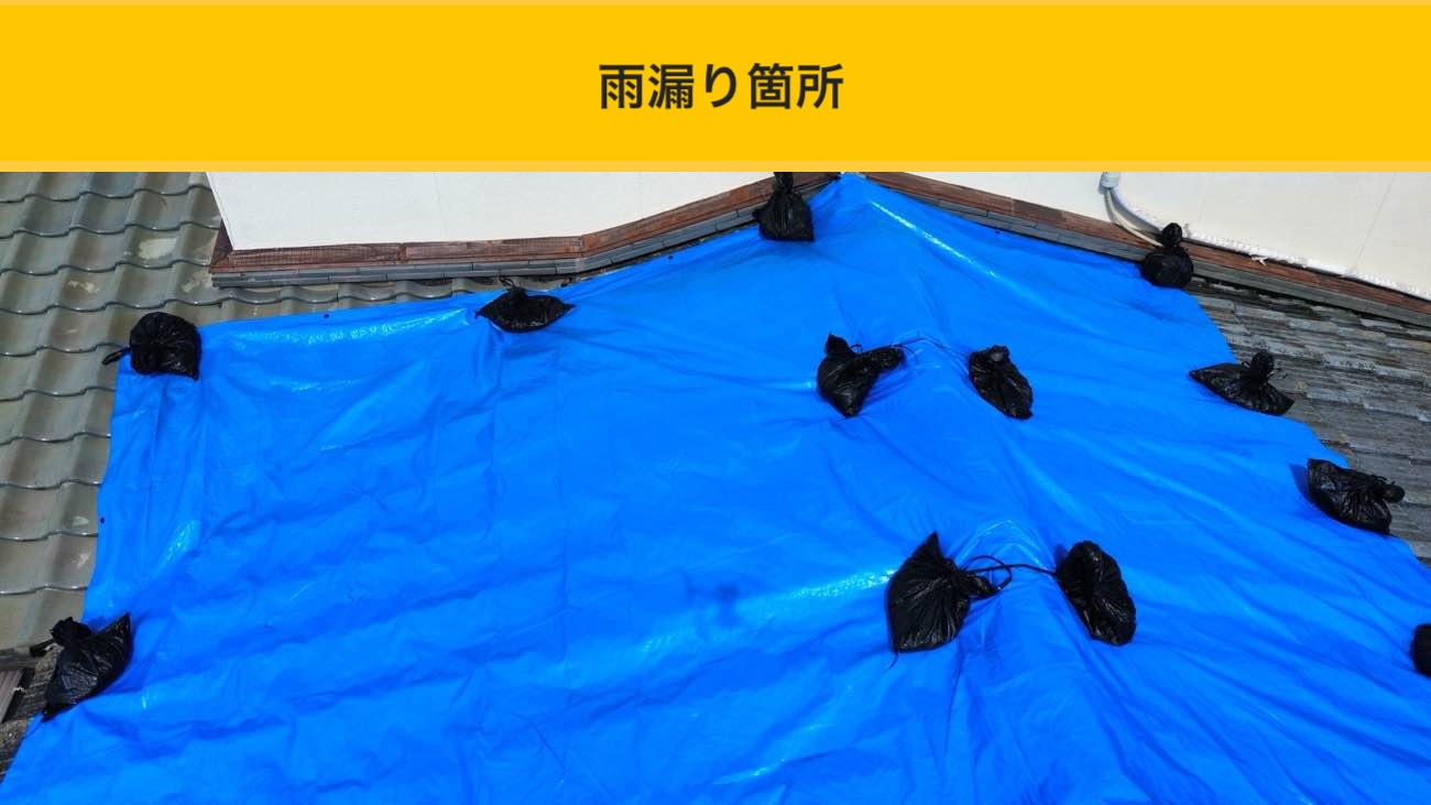 太宰府市の雨漏り調査