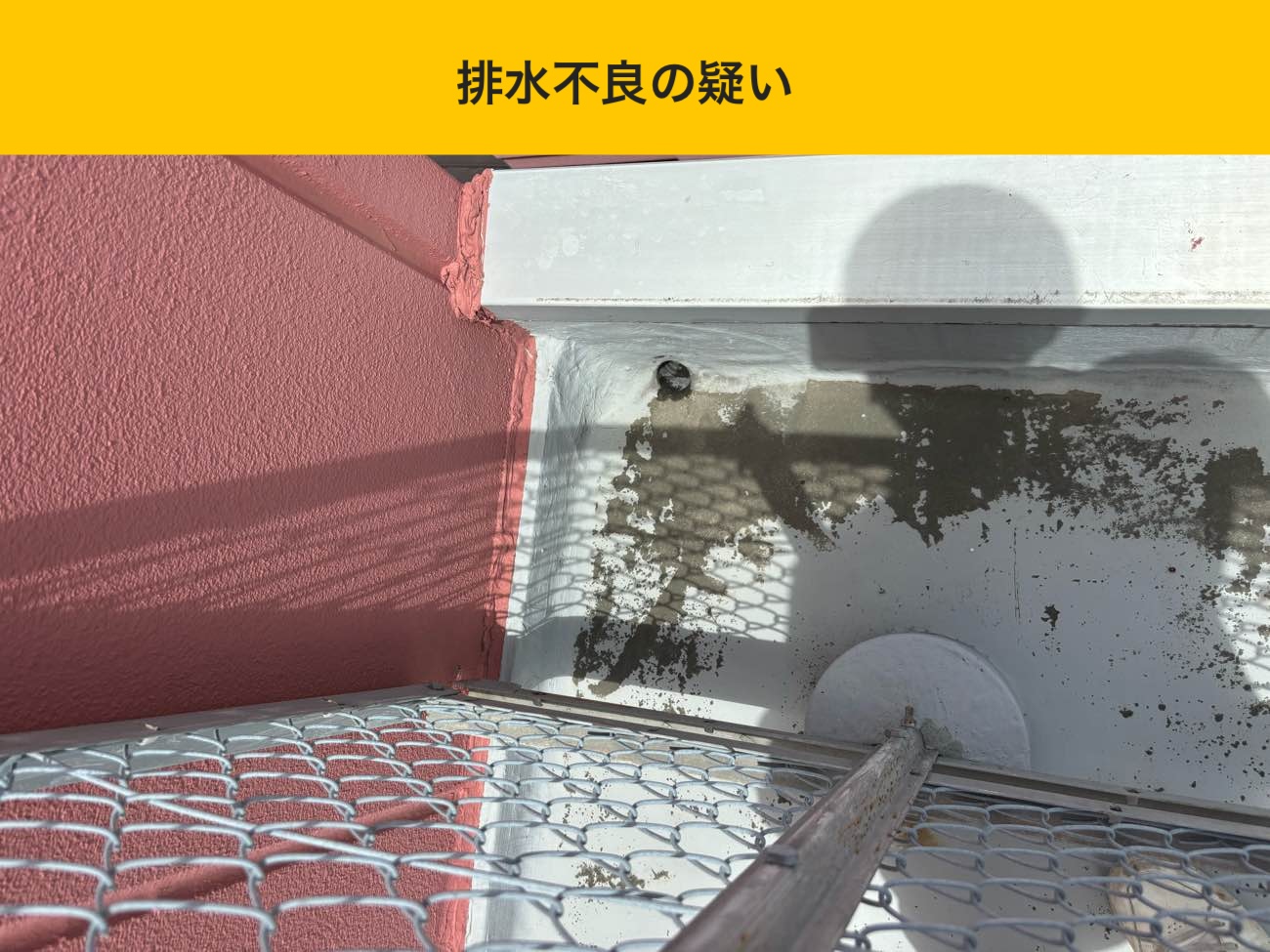 小郡市、ビルの雨漏りを調査