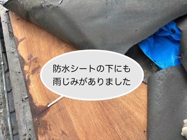 葺き替え工事、野地板への雨じみを確認しました