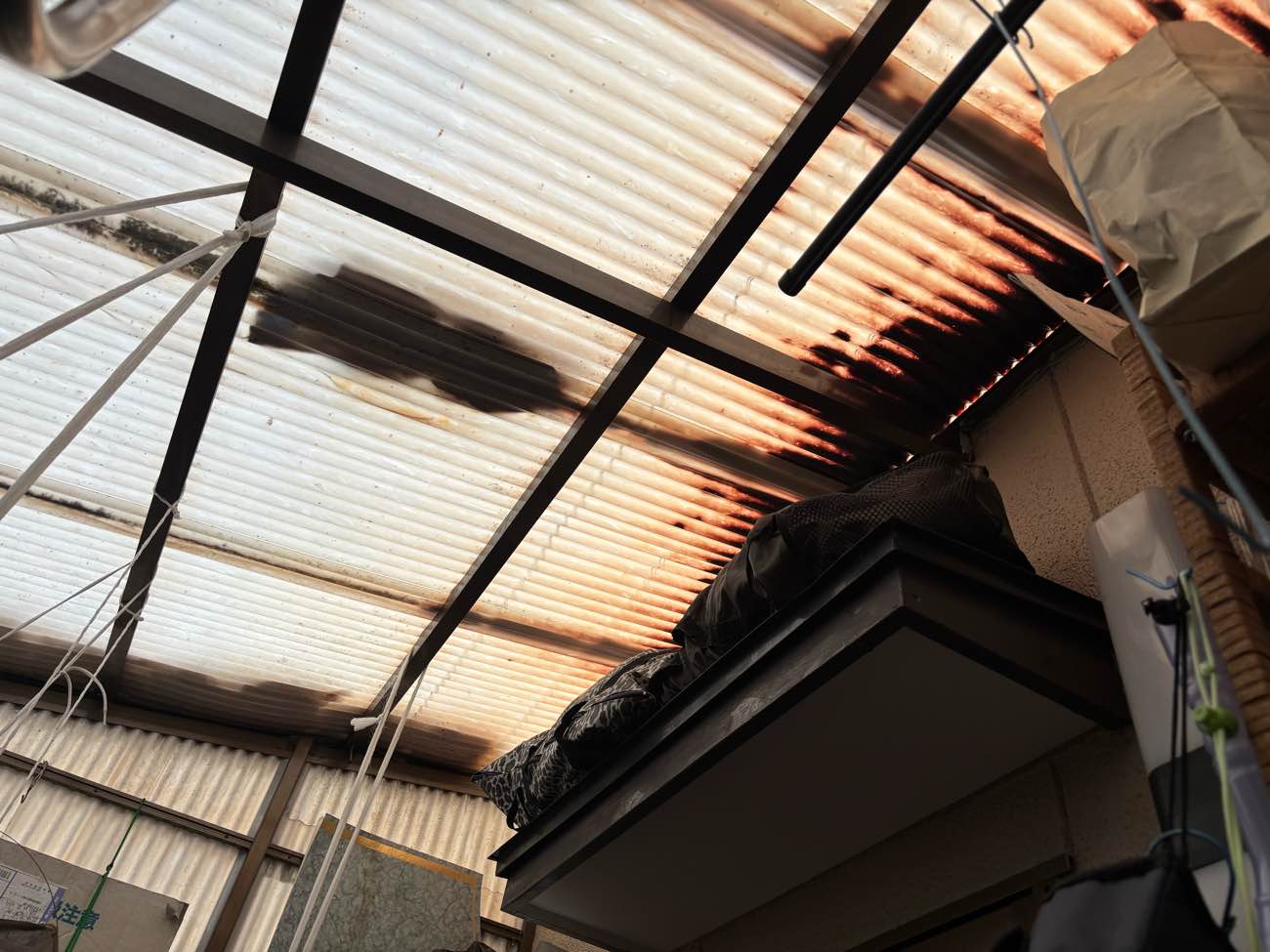 調査写真④ 透過性の低下