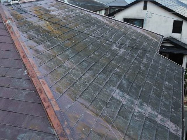 筑紫野市のスレート屋根に生えた苔