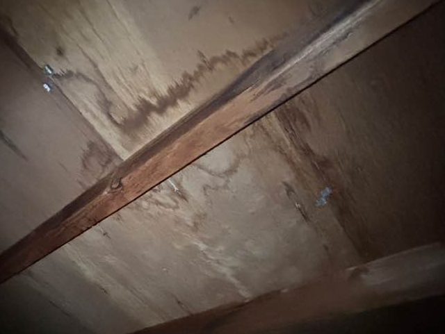 太宰府市の屋根裏の雨漏り状況