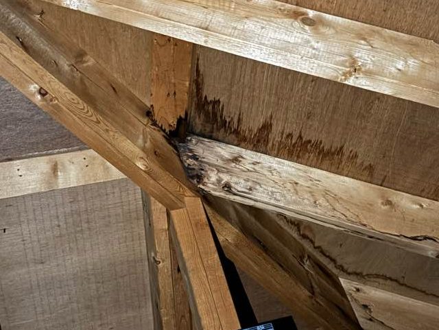 小郡市の屋根の雨漏り被害