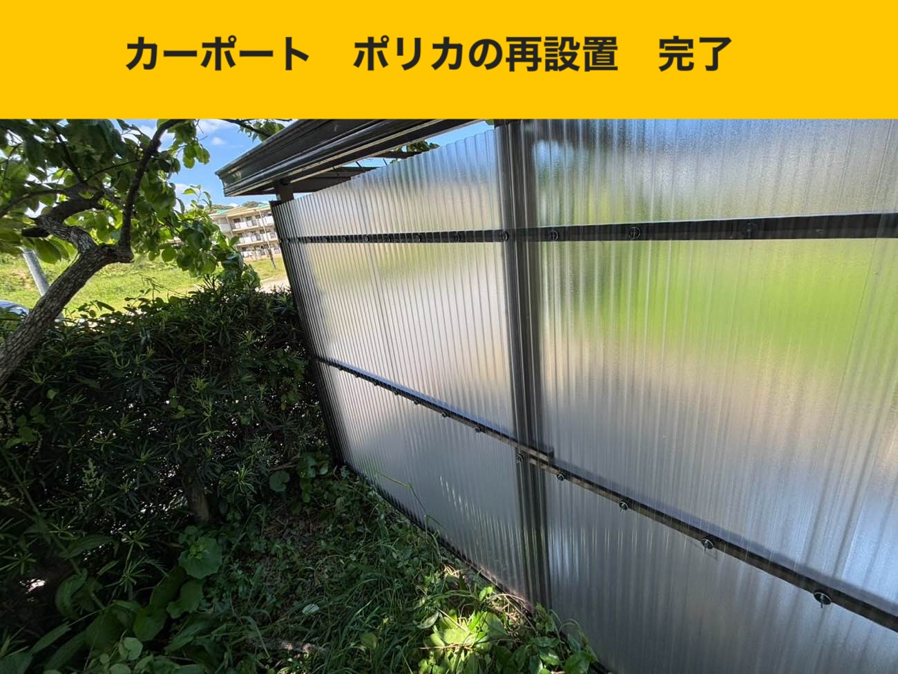 カーポートのポリカ再設置（完了）