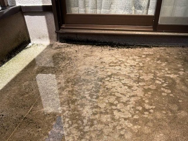 太宰府市のベランダにできた水たまり