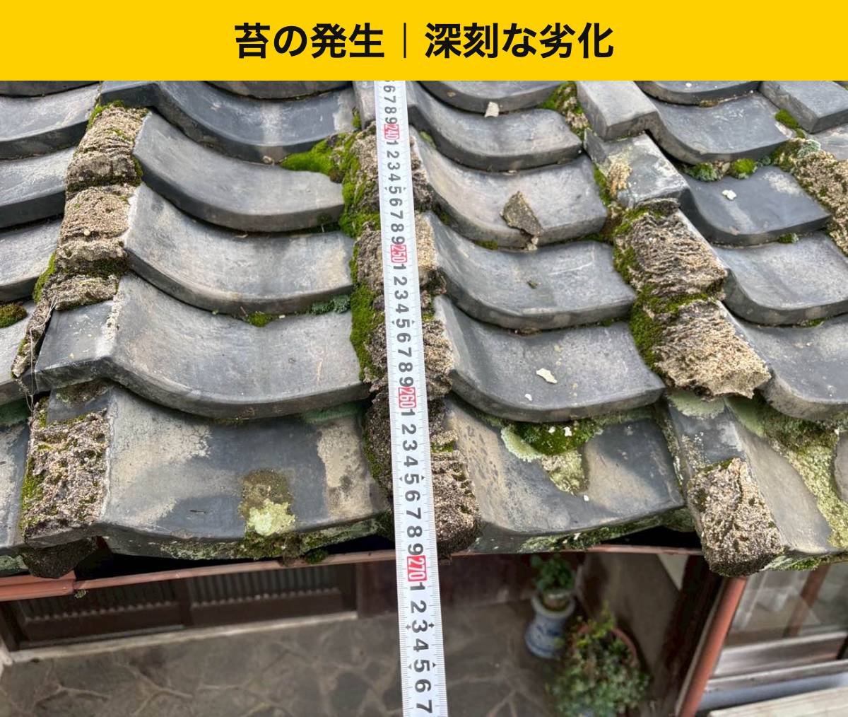 苔や草が目立つ屋根。表面だけをきれいにすればよい?