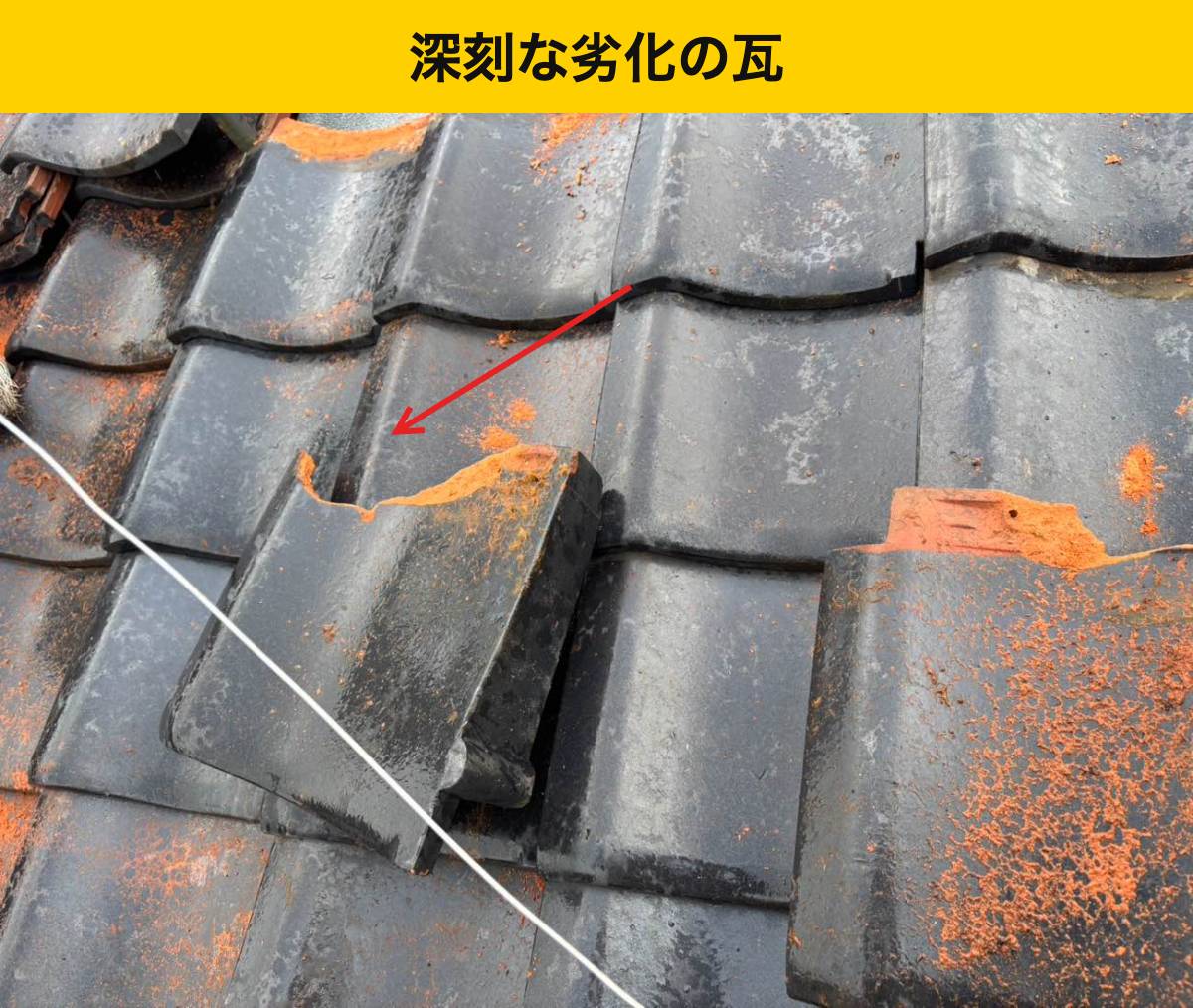 取り外した瓦の端部の傷み