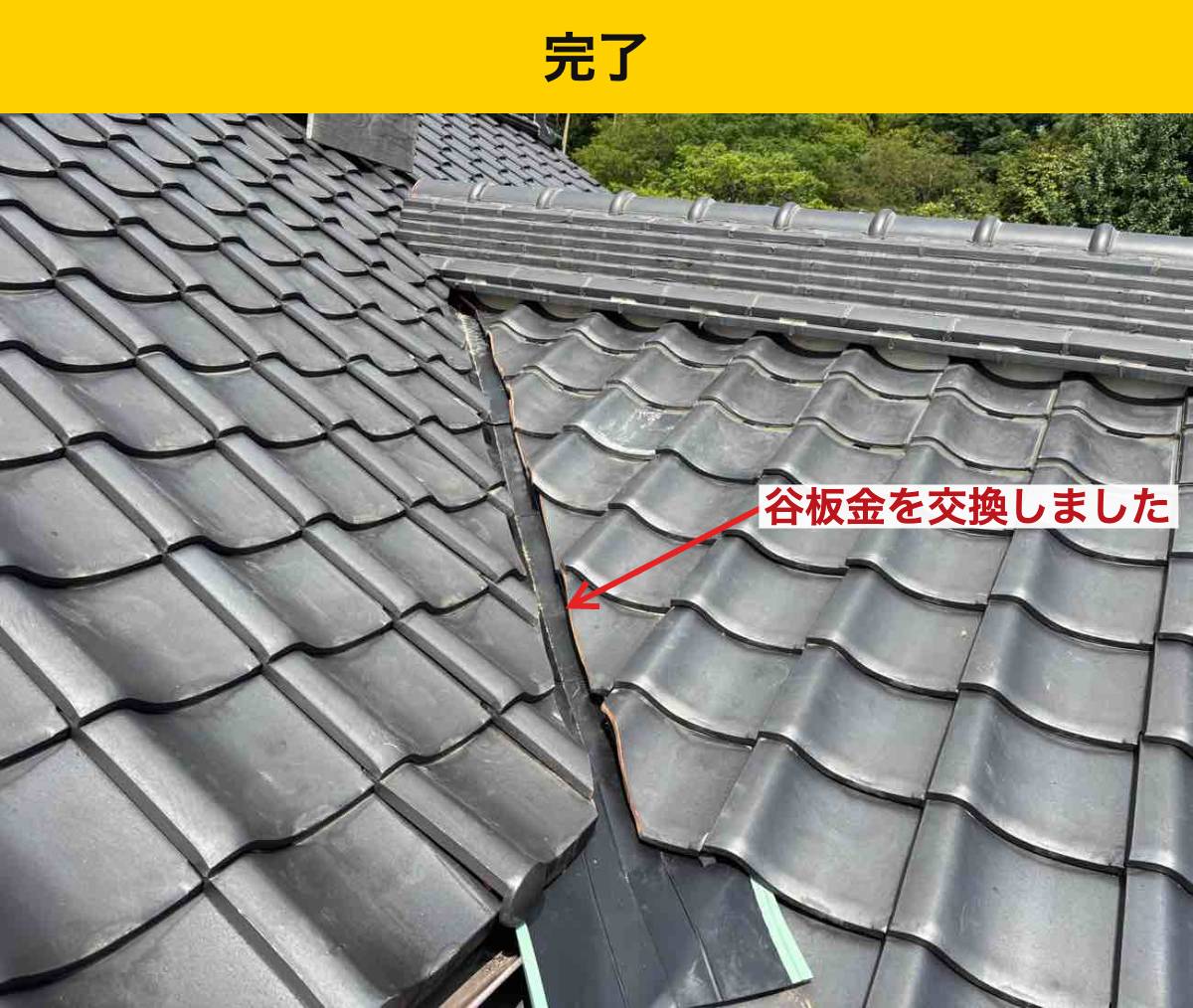 補修か全体改修かは、調査してから決められます