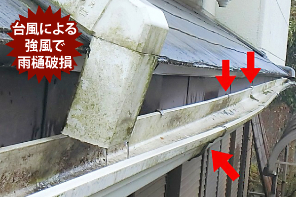 雨樋