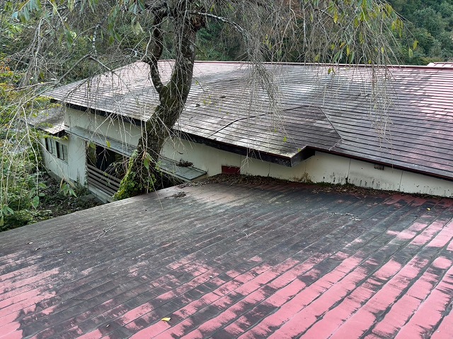 栗原市　横葺き屋根全体に黒いシミが目立つ