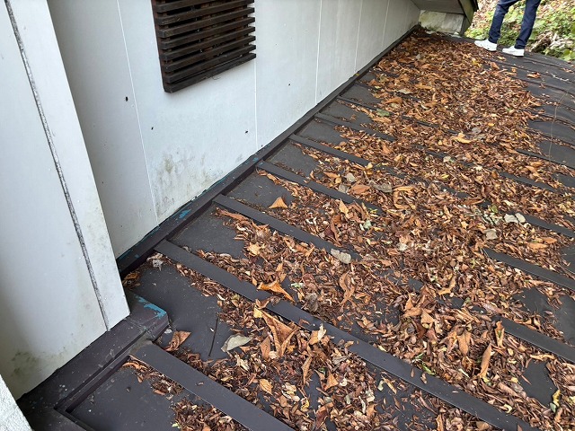 栗原市　屋根上に落ち葉が蓄積されている様子