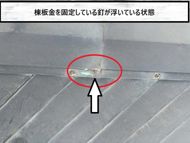 仙台市太白区　棟板金の釘が浮いている様子