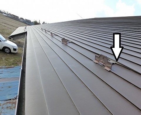 大崎市 小屋 現地調査 横葺き屋根材の内側が捲れている