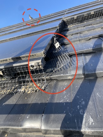 太陽光パネル　ネット　浮き上がり　外れ　はと　鳥の巣　再発