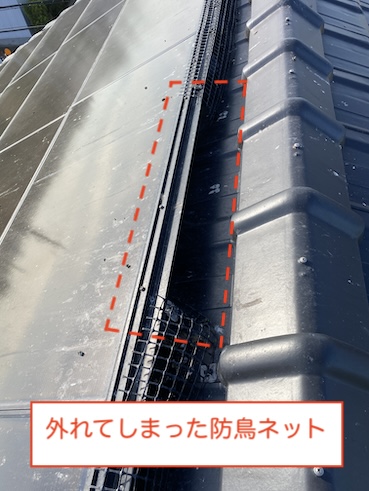 太陽光パネル　ネット　浮き上がり　外れ　はと　鳥の巣　再発