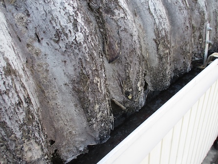 浜松市　大波スレート　塗膜　剥がれ