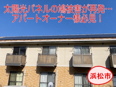 アパート　オーナー　屋根　鳩　鳥の巣　被害　対策　ネット　営巣　太陽光パネル　浜松市