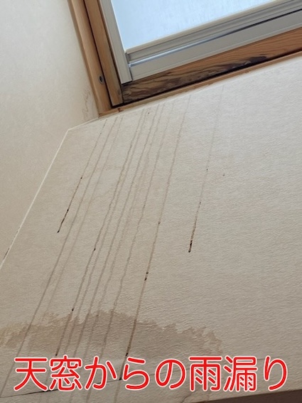 雨漏り　原因　ランキング　トップ５　