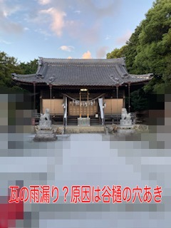 神社　お寺　瓦　雨漏り